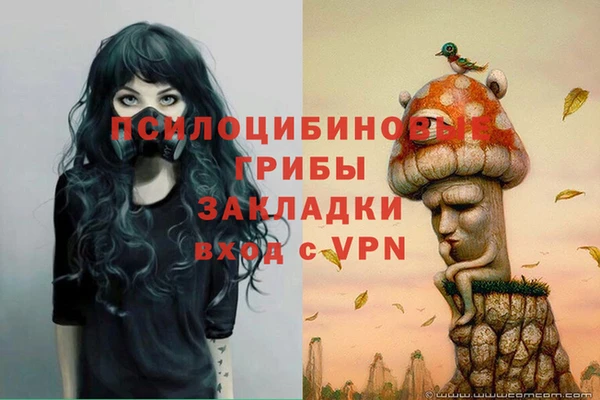 ПСИЛОЦИБИНОВЫЕ ГРИБЫ Алексин
